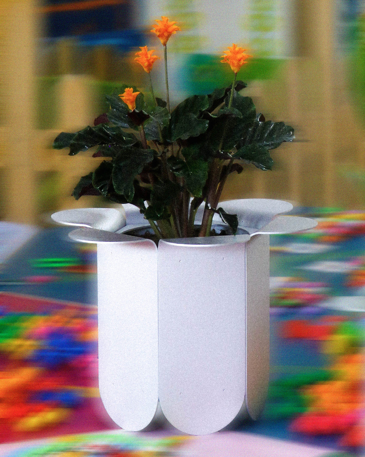 Omni Pot